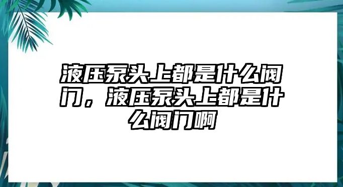 液壓泵頭上都是什么閥門，液壓泵頭上都是什么閥門啊