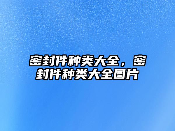 密封件種類大全，密封件種類大全圖片