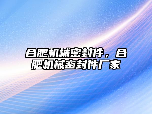 合肥機(jī)械密封件，合肥機(jī)械密封件廠家