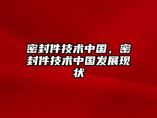 密封件技術中國，密封件技術中國發(fā)展現(xiàn)狀