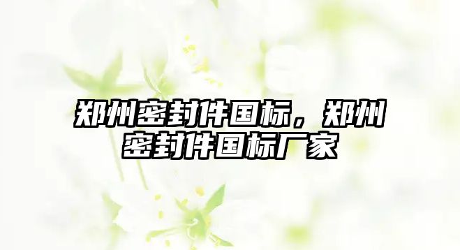 鄭州密封件國標(biāo)，鄭州密封件國標(biāo)廠家