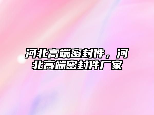 河北高端密封件，河北高端密封件廠家