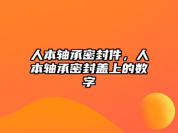 人本軸承密封件，人本軸承密封蓋上的數(shù)字