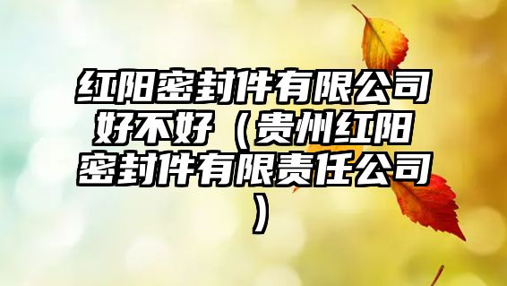 紅陽密封件有限公司好不好（貴州紅陽密封件有限責任公司）