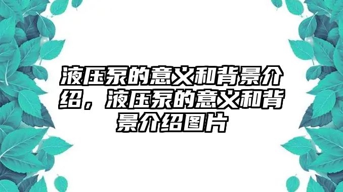 液壓泵的意義和背景介紹，液壓泵的意義和背景介紹圖片