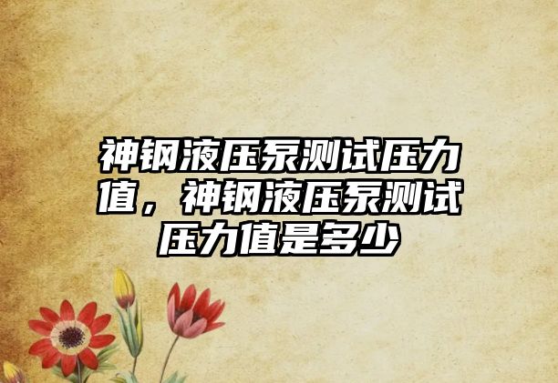 神鋼液壓泵測(cè)試壓力值，神鋼液壓泵測(cè)試壓力值是多少