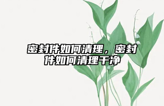 密封件如何清理，密封件如何清理干凈