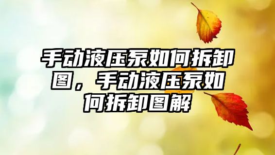 手動液壓泵如何拆卸圖，手動液壓泵如何拆卸圖解