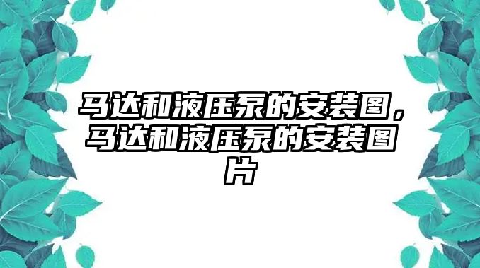 馬達(dá)和液壓泵的安裝圖，馬達(dá)和液壓泵的安裝圖片