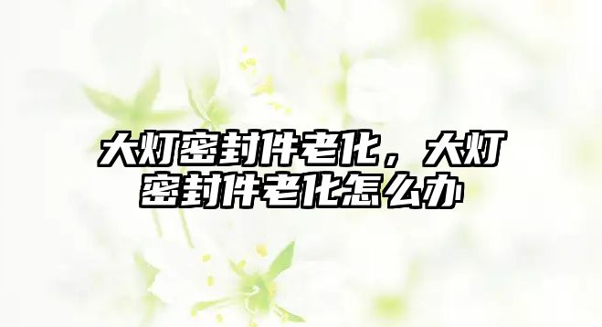 大燈密封件老化，大燈密封件老化怎么辦