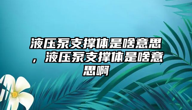 液壓泵支撐體是啥意思，液壓泵支撐體是啥意思啊