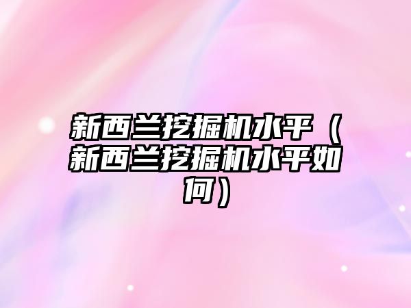 新西蘭挖掘機水平（新西蘭挖掘機水平如何）