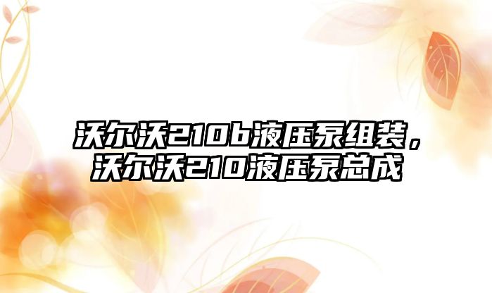 沃爾沃210b液壓泵組裝，沃爾沃210液壓泵總成