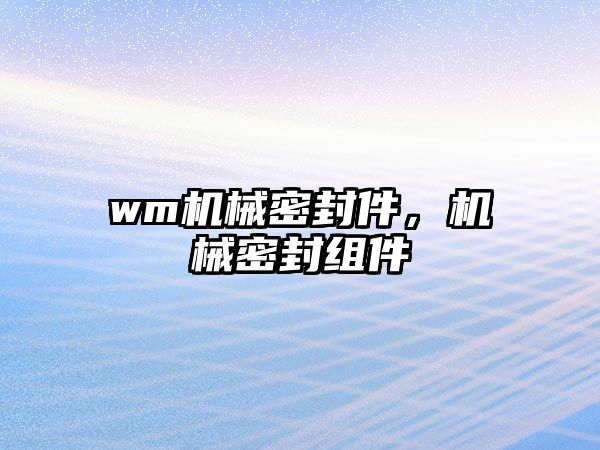 wm機械密封件，機械密封組件