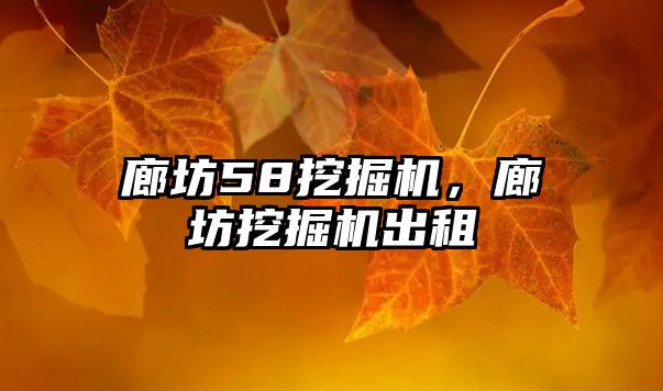 廊坊58挖掘機，廊坊挖掘機出租