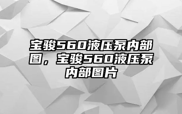 寶駿560液壓泵內(nèi)部圖，寶駿560液壓泵內(nèi)部圖片