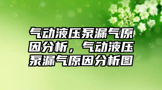 氣動液壓泵漏氣原因分析，氣動液壓泵漏氣原因分析圖