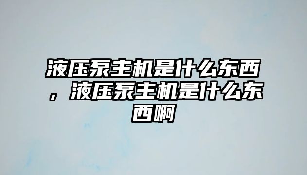 液壓泵主機(jī)是什么東西，液壓泵主機(jī)是什么東西啊