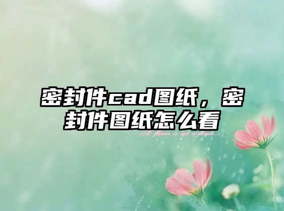 密封件cad圖紙，密封件圖紙?jiān)趺纯? class=