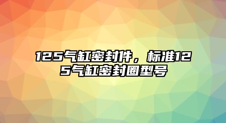 125氣缸密封件，標(biāo)準(zhǔn)125氣缸密封圈型號(hào)