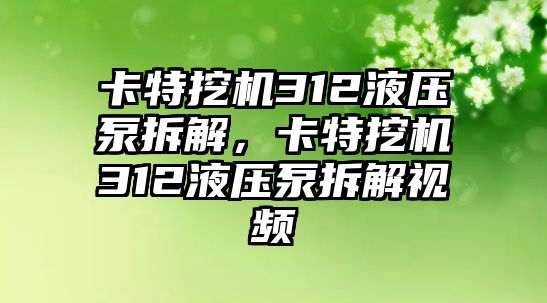 卡特挖機312液壓泵拆解，卡特挖機312液壓泵拆解視頻