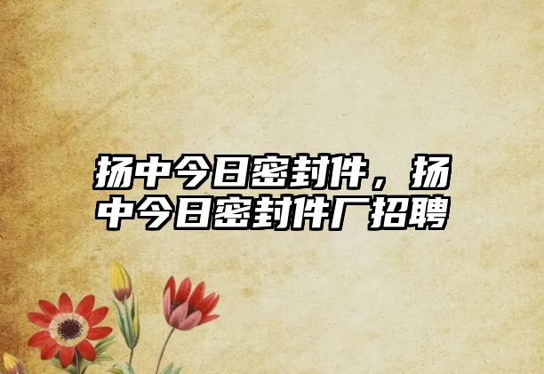 揚(yáng)中今日密封件，揚(yáng)中今日密封件廠招聘