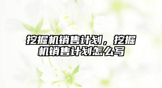 挖掘機銷售計劃，挖掘機銷售計劃怎么寫