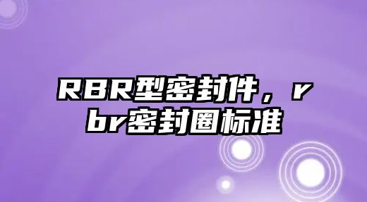 RBR型密封件，rbr密封圈標(biāo)準(zhǔn)