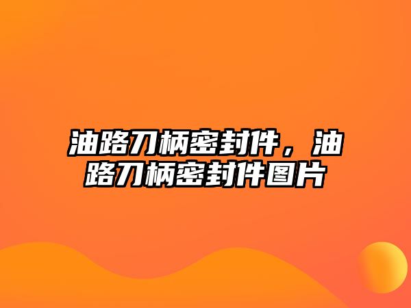 油路刀柄密封件，油路刀柄密封件圖片