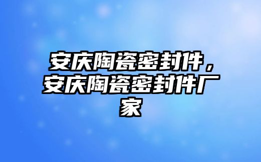 安慶陶瓷密封件，安慶陶瓷密封件廠(chǎng)家