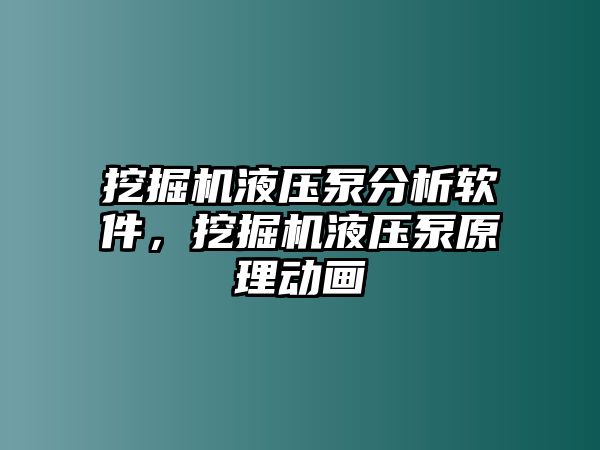 挖掘機液壓泵分析軟件，挖掘機液壓泵原理動畫