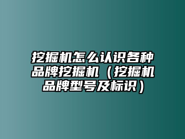 挖掘機怎么認識各種品牌挖掘機（挖掘機品牌型號及標識）