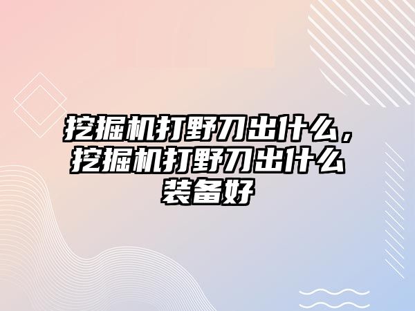 挖掘機打野刀出什么，挖掘機打野刀出什么裝備好