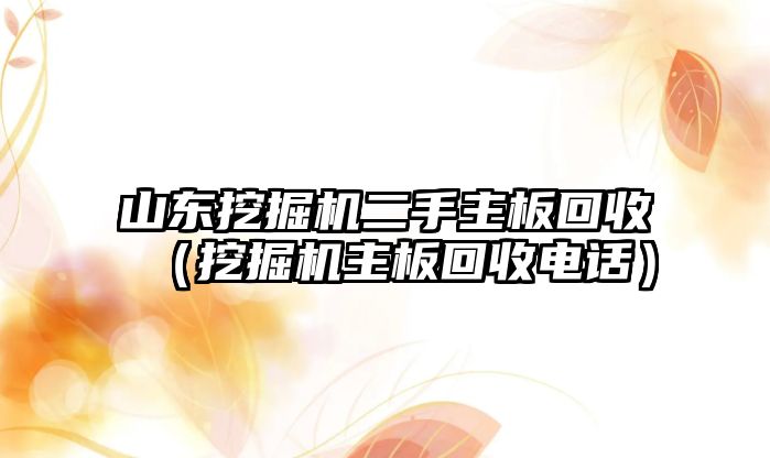 山東挖掘機(jī)二手主板回收（挖掘機(jī)主板回收電話）