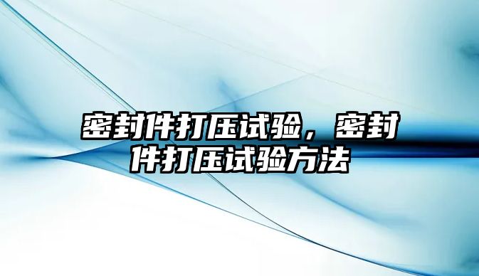 密封件打壓試驗(yàn)，密封件打壓試驗(yàn)方法