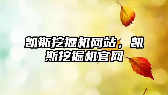 凱斯挖掘機網(wǎng)站，凱斯挖掘機官網(wǎng)