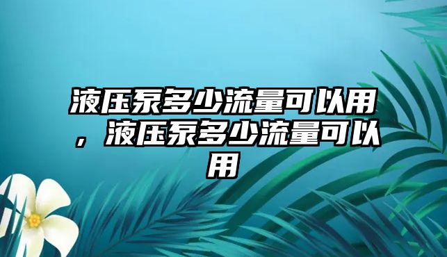 液壓泵多少流量可以用，液壓泵多少流量可以用