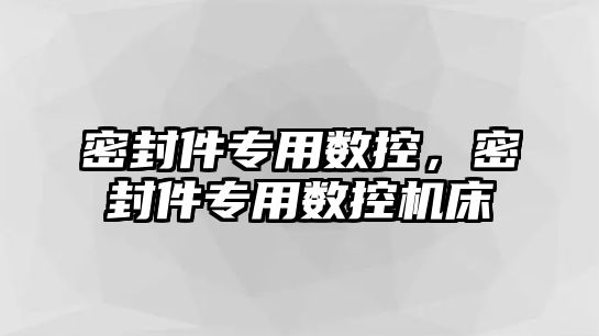 密封件專用數控，密封件專用數控機床