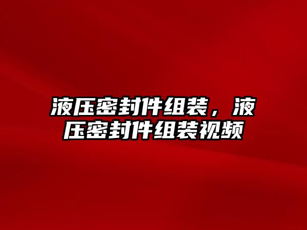 液壓密封件組裝，液壓密封件組裝視頻