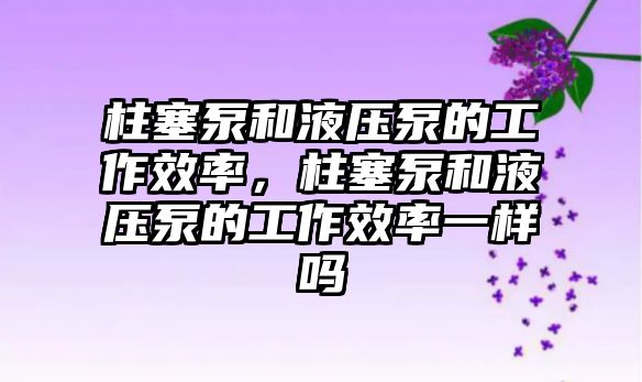 柱塞泵和液壓泵的工作效率，柱塞泵和液壓泵的工作效率一樣嗎