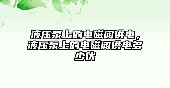 液壓泵上的電磁閥供電，液壓泵上的電磁閥供電多少伏