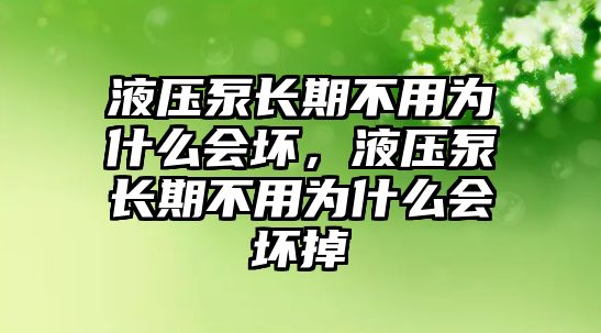 液壓泵長期不用為什么會壞，液壓泵長期不用為什么會壞掉