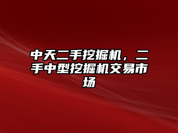 中天二手挖掘機，二手中型挖掘機交易市場