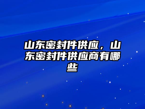 山東密封件供應，山東密封件供應商有哪些