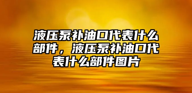 液壓泵補油口代表什么部件，液壓泵補油口代表什么部件圖片