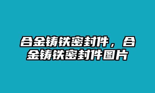 合金鑄鐵密封件，合金鑄鐵密封件圖片