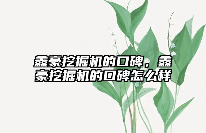 鑫豪挖掘機的口碑，鑫豪挖掘機的口碑怎么樣