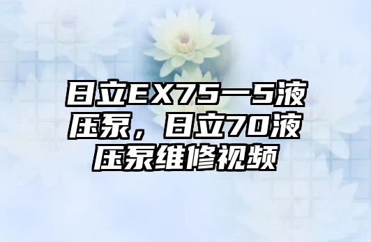 日立EX75一5液壓泵，日立70液壓泵維修視頻