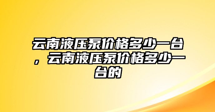 云南液壓泵價(jià)格多少一臺(tái)，云南液壓泵價(jià)格多少一臺(tái)的