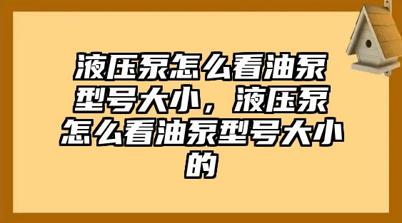 液壓泵怎么看油泵型號大小，液壓泵怎么看油泵型號大小的